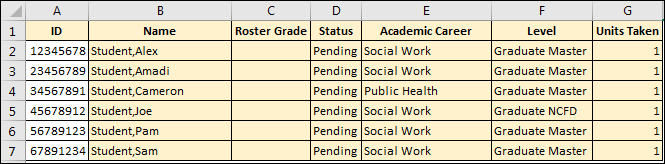 Excel spreadsheet